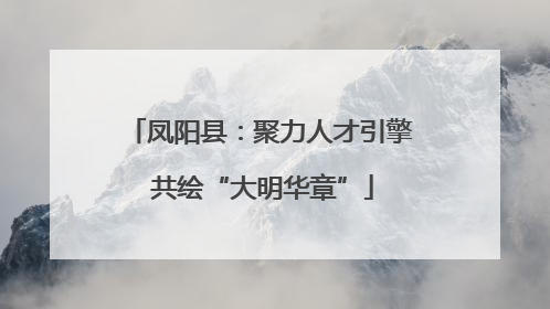 凤阳县：聚力人才引擎 共绘“大明华章”