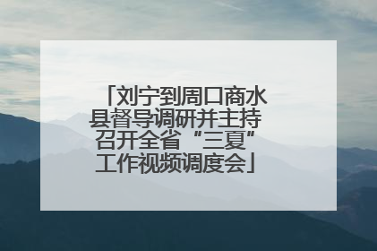 刘宁到周口商水县督导调研并主持召开全省“三夏”工作视频调度会