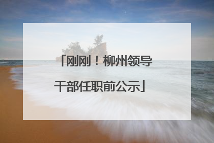 刚刚！柳州领导干部任职前公示