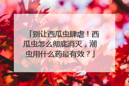 别让西瓜虫肆虐！西瓜虫怎么彻底消灭，潮虫用什么药最有效？