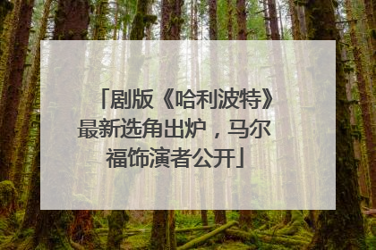 剧版《哈利波特》最新选角出炉，马尔福饰演者公开