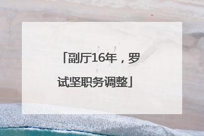 副厅16年，罗试坚职务调整