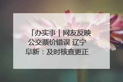 办实事｜网友反映公交票价错误 辽宁阜新：及时核查更正 加强实时巡检