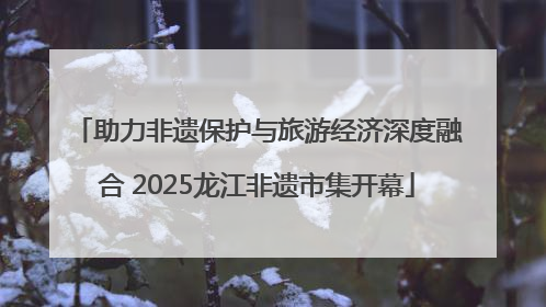 助力非遗保护与旅游经济深度融合 2025龙江非遗市集开幕