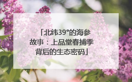 北纬39°的海参故事：上品堂春捕季背后的生态密码