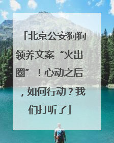 北京公安狗狗领养文案“火出圈”！心动之后，如何行动？我们打听了