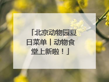 北京动物园夏日菜单丨动物食堂上新啦！