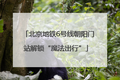 北京地铁6号线朝阳门站解锁“魔法出行”