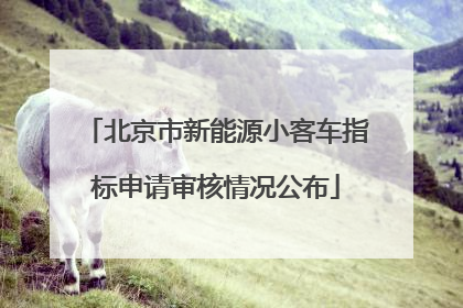 北京市新能源小客车指标申请审核情况公布