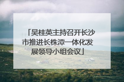 吴桂英主持召开长沙市推进长株潭一体化发展领导小组会议