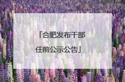 合肥发布干部任前公示公告