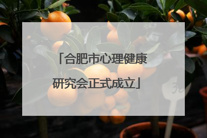 合肥市心理健康研究会正式成立