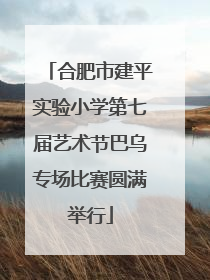 合肥市建平实验小学第七届艺术节巴乌专场比赛圆满举行