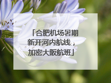 合肥机场暑期新开河内航线，加密大阪航班