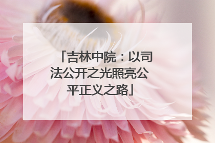 吉林中院：以司法公开之光照亮公平正义之路