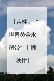 吉林：“世界黄金水稻带”上插秧忙
