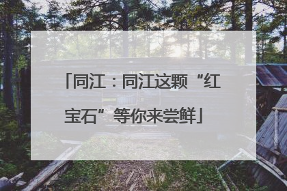 同江：同江这颗“红宝石”等你来尝鲜