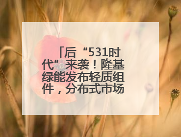 后“531时代”来袭！隆基绿能发布轻质组件，分布式市场后续会怎么走