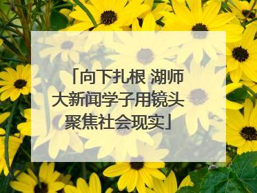 向下扎根 湖师大新闻学子用镜头聚焦社会现实