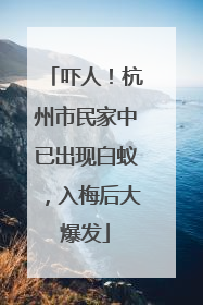 吓人！杭州市民家中已出现白蚁，入梅后大爆发