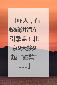 吓人，有蛇藏进汽车引擎盖！北京9天接9起“蛇警”……