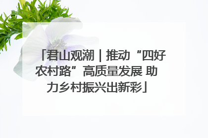 君山观潮｜推动“四好农村路”高质量发展 助力乡村振兴出新彩