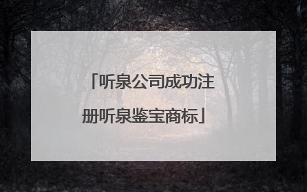 听泉公司成功注册听泉鉴宝商标