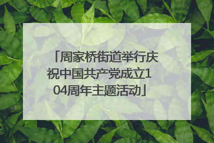 周家桥街道举行庆祝中国共产党成立104周年主题活动
