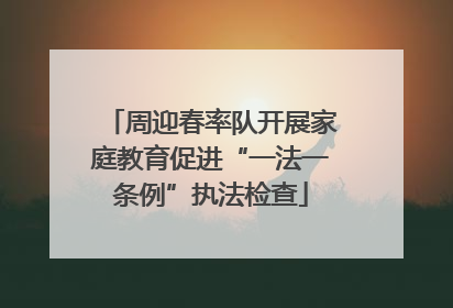 周迎春率队开展家庭教育促进“一法一条例”执法检查