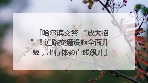 哈尔滨交警 “放大招”！道路交通设施全面升级，出行体验直线飙升