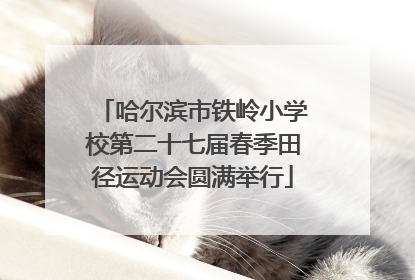 哈尔滨市铁岭小学校第二十七届春季田径运动会圆满举行