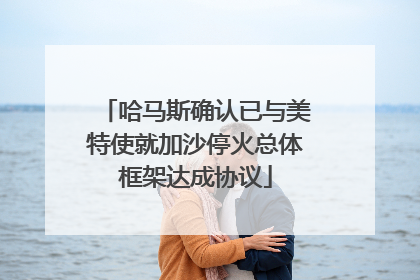 哈马斯确认已与美特使就加沙停火总体框架达成协议
