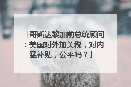 哥斯达黎加前总统顾问：美国对外加关税，对内猛补贴，公平吗？