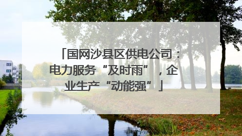 国网沙县区供电公司：电力服务“及时雨”，企业生产“动能强”