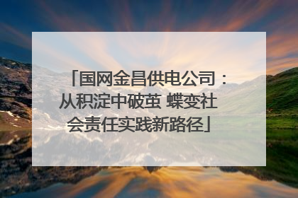 国网金昌供电公司：从积淀中破茧 蝶变社会责任实践新路径