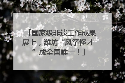 国家级非遗工作成果展上，潍坊“风筝怪才”成全国唯一！
