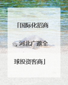 国际化招商，河北广邀全球投资客商