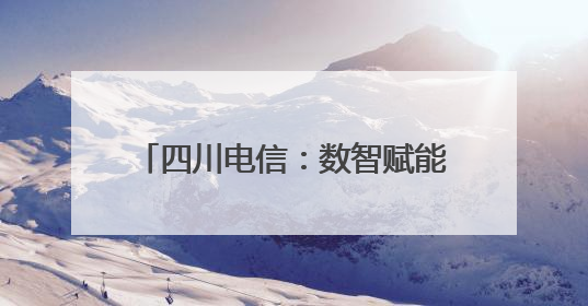 四川电信：数智赋能织密“普遍服务网”，绘就巴蜀新画卷