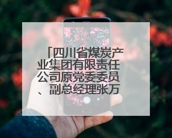 四川省煤炭产业集团有限责任公司原党委委员、副总经理张万松 接受纪律审查和监察调查