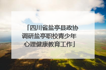 四川省盐亭县政协调研盐亭职校青少年心理健康教育工作