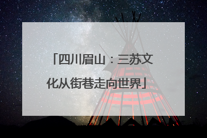 四川眉山：三苏文化从街巷走向世界