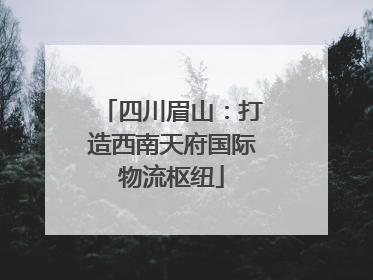 四川眉山：打造西南天府国际物流枢纽