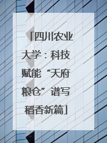 四川农业大学：科技赋能“天府粮仓”谱写稻香新篇