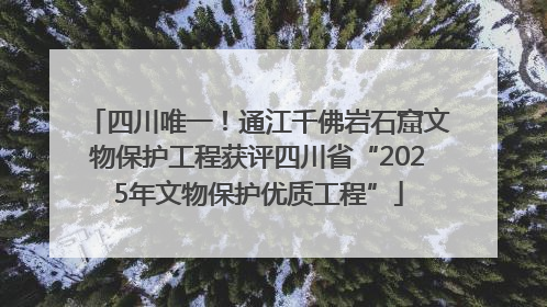 四川唯一！通江千佛岩石窟文物保护工程获评四川省“2025年文物保护优质工程”