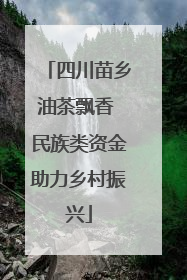四川苗乡油茶飘香 民族类资金助力乡村振兴