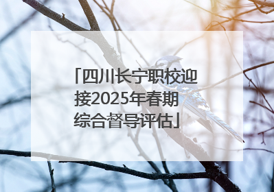 四川长宁职校迎接2025年春期综合督导评估