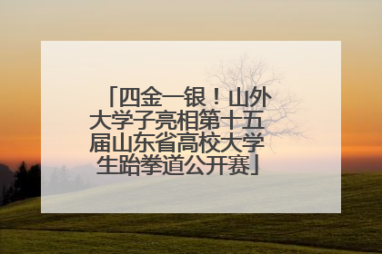 四金一银！山外大学子亮相第十五届山东省高校大学生跆拳道公开赛