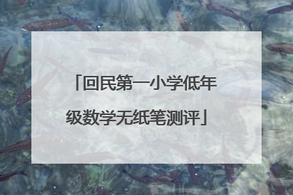回民第一小学低年级数学无纸笔测评