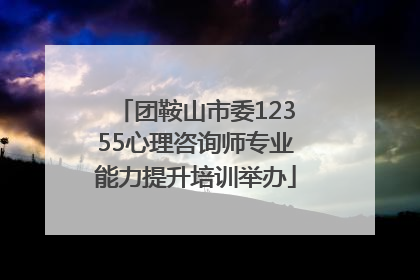 团鞍山市委12355心理咨询师专业能力提升培训举办