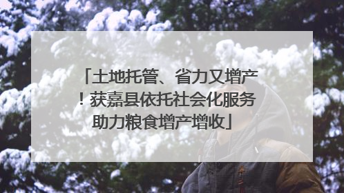 土地托管、省力又增产！获嘉县依托社会化服务助力粮食增产增收